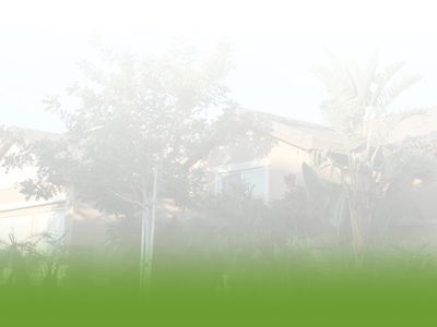 Eastvale Meadows