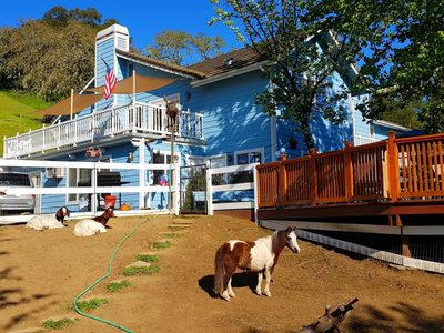 Garden View Inn