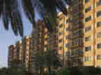 Brookdale Pinecrest