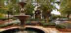 Brookdale Roswell