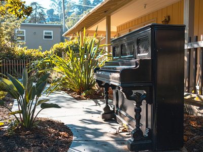 Marin Terrace
