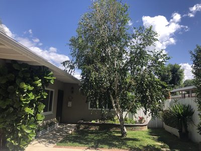Mauna Loa Oaks