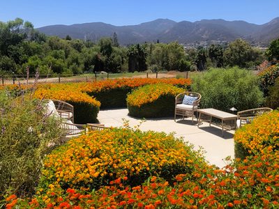 Santee Elderly Care
