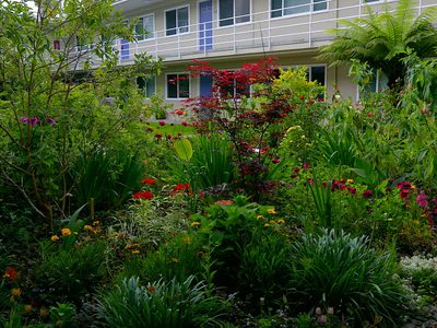 The Village at Sydney Creek