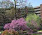 Roland Park Place