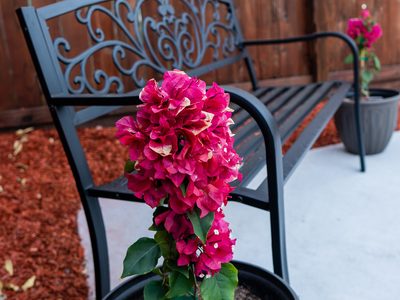 Windrose Care Home