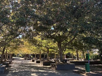Heartwood Place