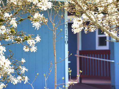 SKAGIT RIVER ADULT FAMILY HOME LLC