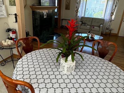 Comfort at Ballinger Lake, LLC