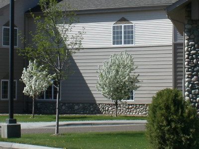 The Lodge at Lone Tree Creek