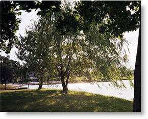 Delaware assisted-living