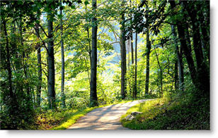 Maryland assisted living facility recommendations