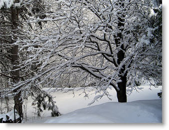 New Hampshire Assisted Living