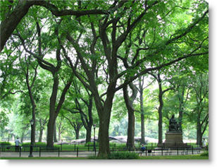 New York Assisted Living More